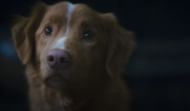 A still from the film's trailer (Image via YouTube/IFC Films)